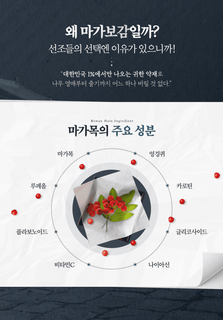 마가보감 효능 및 가격