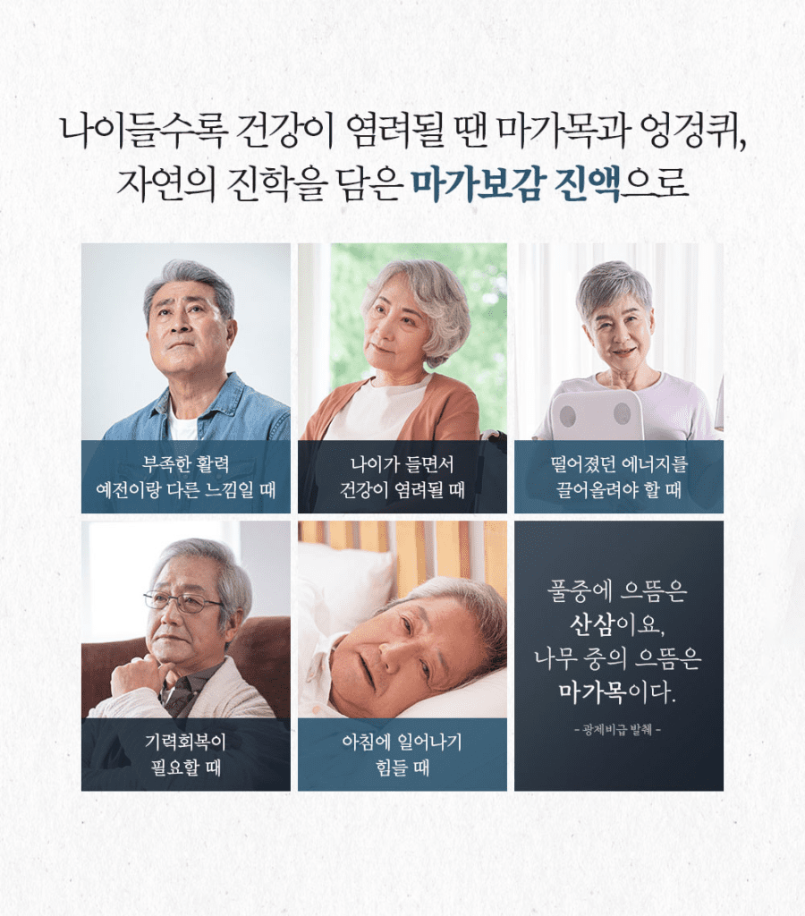 마가보감 효능 및 가격
